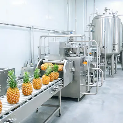 pineapple juice processing line